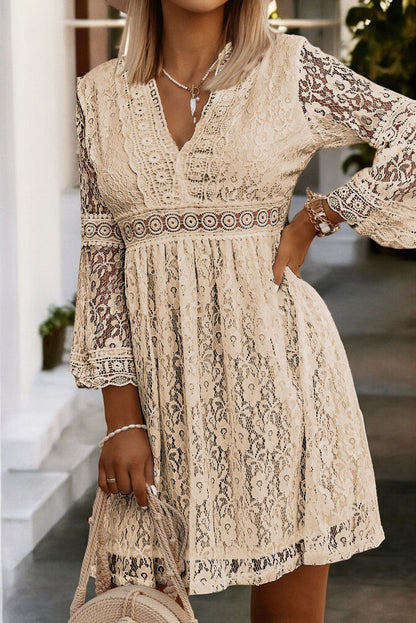 Lace Allure V-Neck Sleeve Dress